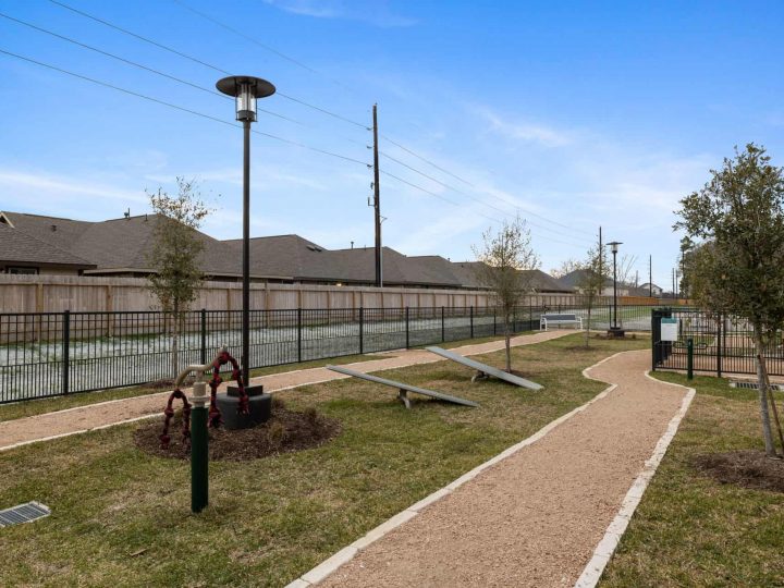 Dog Park