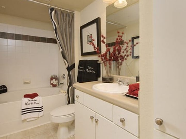 Fein Communities - Gateway at Sienna 2B bath