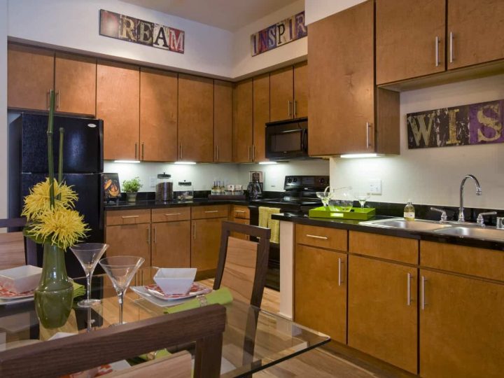 Fein Communities - The Park Avenue Lofts - modelkitch2