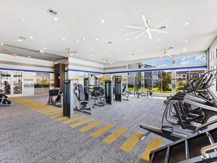 WCC Project - Canopy 06