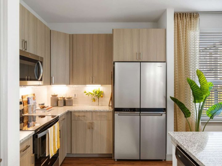 WCC Project - Canopy 14