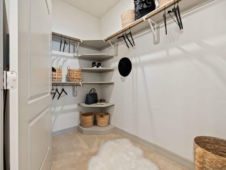 WCC Project - Canopy 17