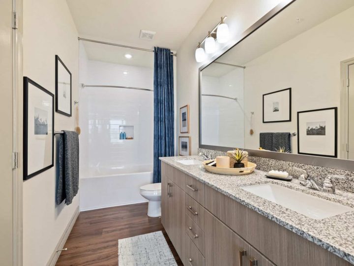 WCC Project - Canopy 22