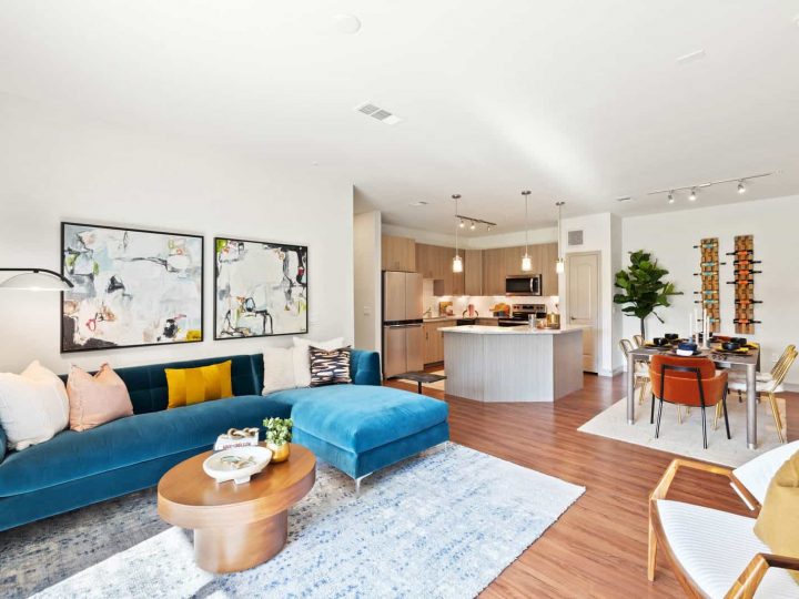 WCC Project - Canopy 27