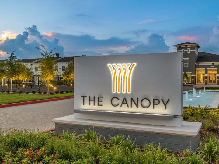 WCC Project - Canopy 29