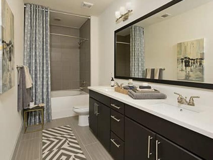 Fein Property - Aria 2B master bath