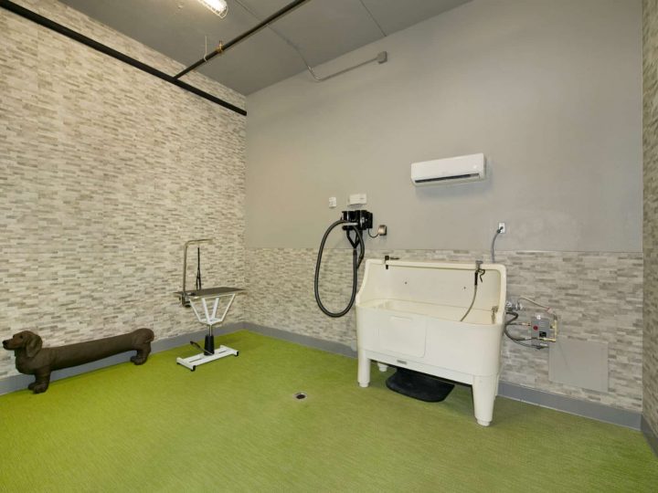 Fein Property - Aria Dog Salon